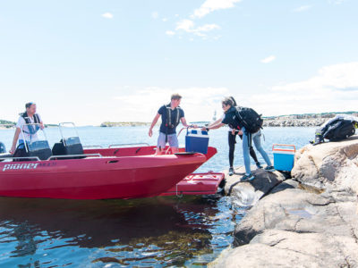 Kvalitetstid med familjen till sjöss